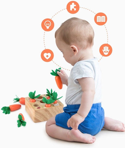 FNQUTOY Infant toys-Children's educational toys for developing fine motor, cognitive and counting skills-Pulling out carrots Suitable for ages 0 to 3.